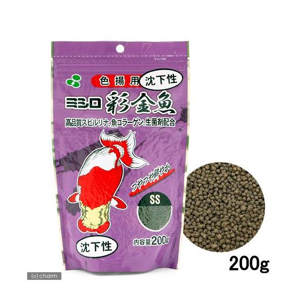 ʋ@Fgp@rr@@QOO@̂@̉a