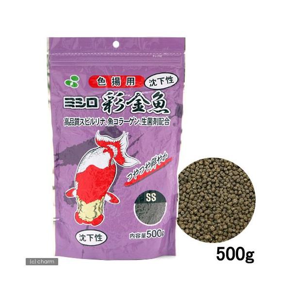 ʋ@Fgp@rr@@TOO@̂@̉a