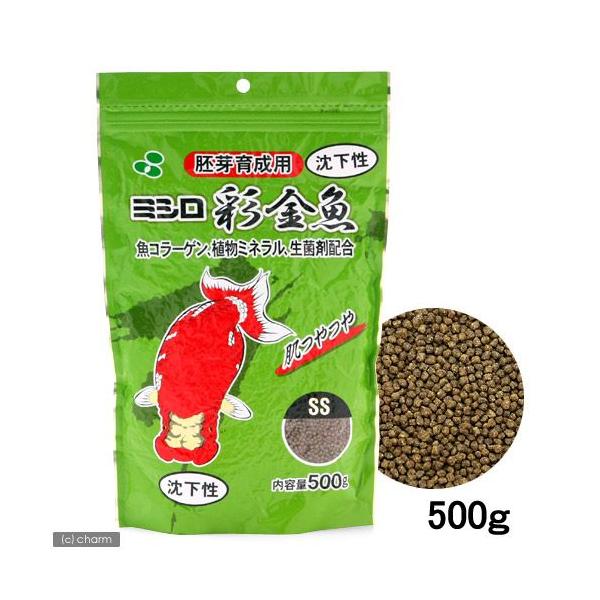 ʋ@琬p@rr@@TOO@̂@̉a