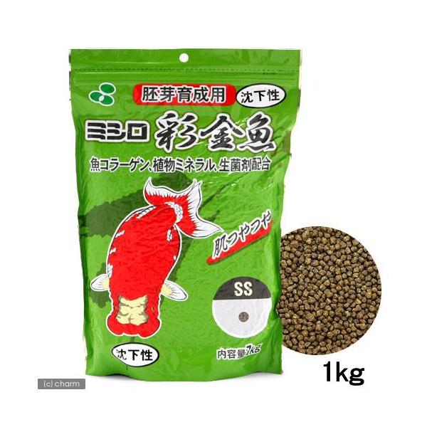 ʋ@琬p@rr@@P@̂@̉a