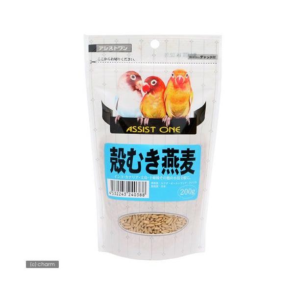 A^@AVXgnmd@kނ@QOO@@t[h@a@@I[cij