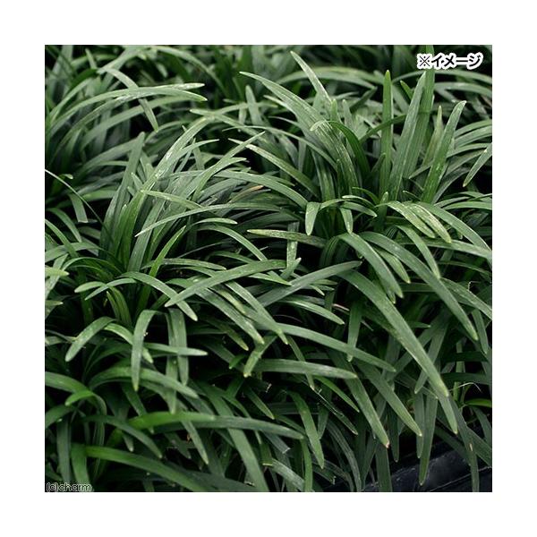 iϗtAjWmqQiEmqQj@ʗ@QDT`RiPQ|bgj