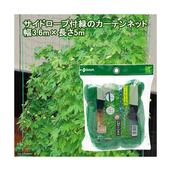 TCh[v΂̃J[elbgRDU×T@ƒ؉@x_؉