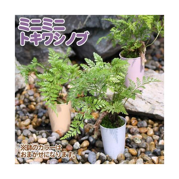 iϗtAjV_@~j~jgLVmu@PiPj@gLVmu