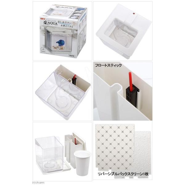 ｇｅｘ 楽アクア ホワイト 小型水槽 おしゃれ水槽 初心者 Buyee 日本代购平台 产品购物网站大全 Buyee一站式代购 Bot Online