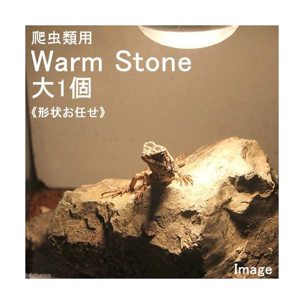 `󂨔C@঒ޗpoXLOX|bg@`EH[EXg[`@iPT`QOjP@঒ށ@CAEgf