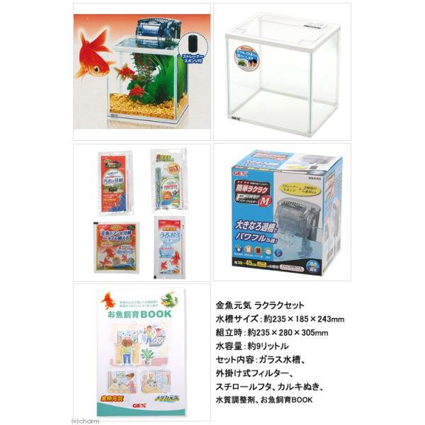 ｇｅｘ 金魚元気 ラクラクセット 金魚 水槽セット 初心者 お一人様５点限り Buyee Buyee Japanese Proxy Service Buy From Japan Bot Online