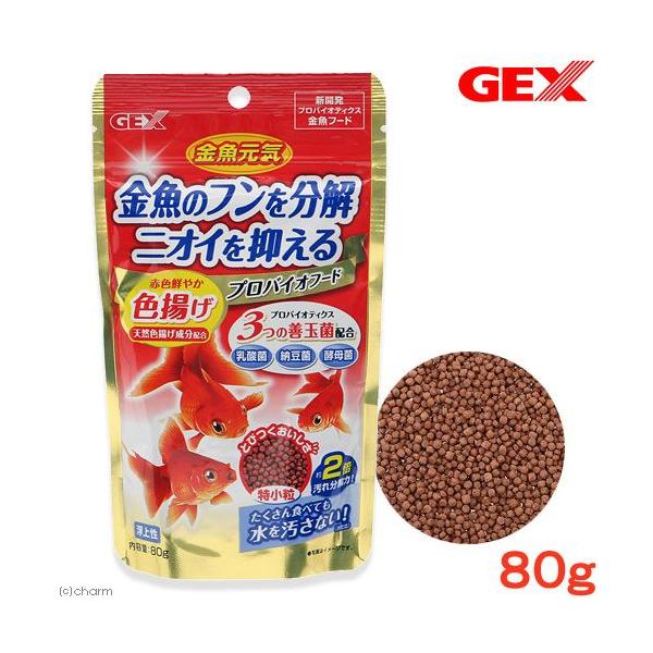 fdw@CvoCIt[h@Fg@WO@@@㐫@̂@̉a