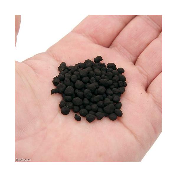 ｇｅｘ ベストバイオサンド １ ５ｌ 底床 ソイル バクテリア 熱帯魚 用品 Buyee Buyee Japanese Proxy Service Buy From Japan Bot Online