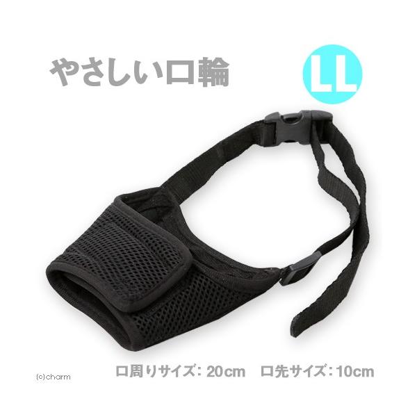 A[XEybg@gc₳ց@kk@@ց@^p