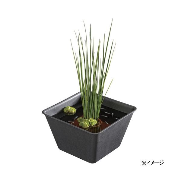 Xh[@_J̊p@킷݁ianj@rIg[v@_J