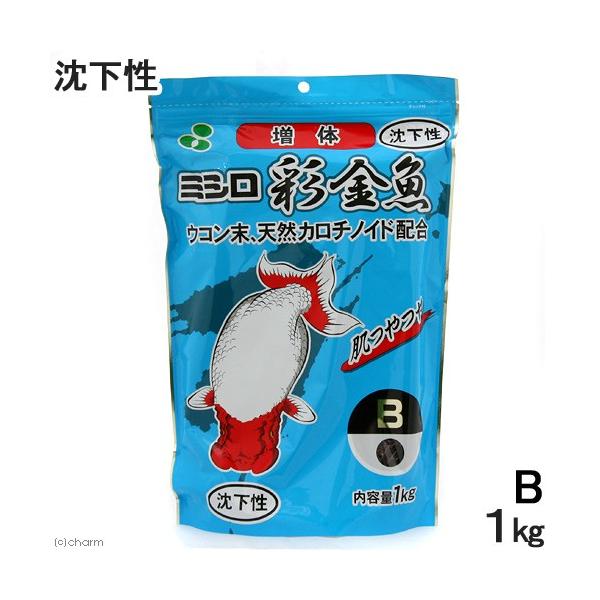 ʋ@t̗pa@@P@@@̂@̉a