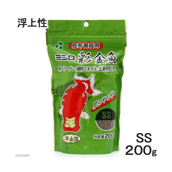 ʋ@琬p@rr@㐫@QOO@@@̂@̉a