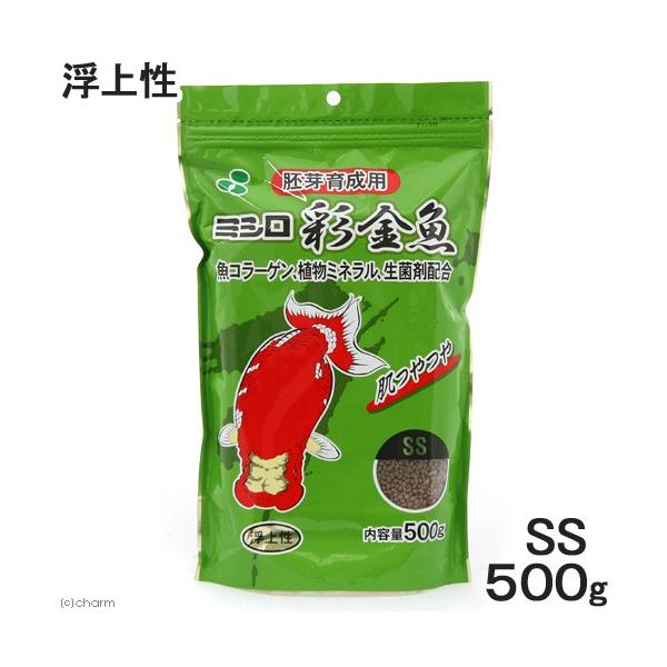 ʋ@琬p@rr@㐫@TOO@@@̂@̉a