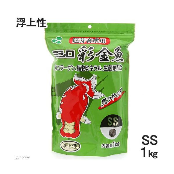 ʋ@琬p@rr@㐫@P@@@̂@̉a