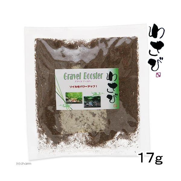 Oxu[X^[@PV@Gr@Vv@グ