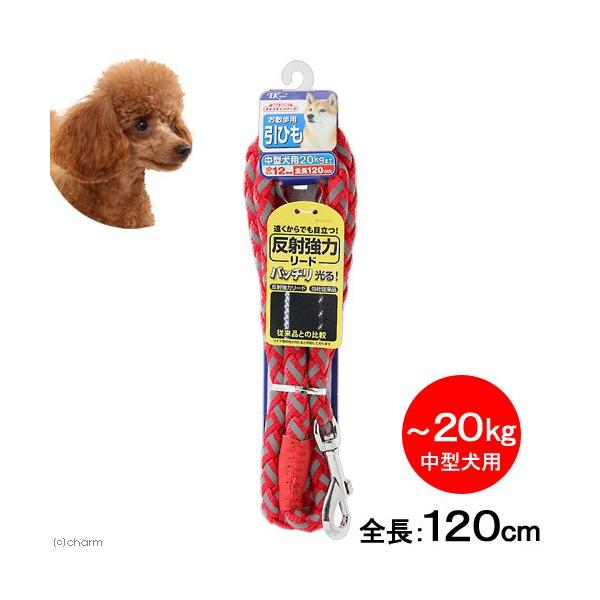 ^[L[@_CXLV[Y@ˋ̓[h@ԁ@^p@aPDQ×PQO@Up@Ђ