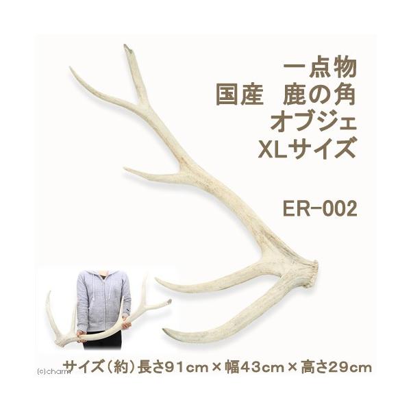 _@Y@̊p@IuWF@wkTCY@P{@dq|OOQ@PWOTCY