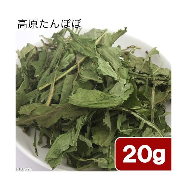 メーカー：(株)リーフ Leaf Corp ウサヤマの売れ筋　リーフコーポレーション　リーフコーポ　リーフ　ＬＥＡＦ　Corp　USAYAMA　ウサヤマ　usymlist　usahokan　小動物　鳥　ハムスター　うさぎ　チンチラ　モルモッ...