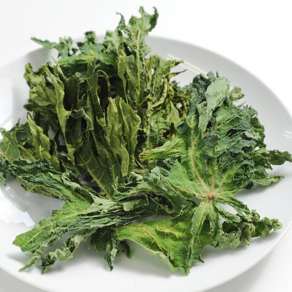 Y@ppC̎t@PT@p̂@Y@F