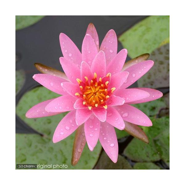 irIg[vj@@ѐ@iXCjij@vZXEGUxX@orr@d@iP|bgjixԁj