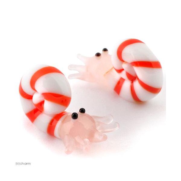 OXRNV@v`V[Y@uAiCgv@P