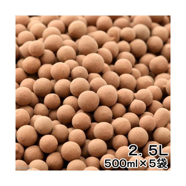 Čѐ΂ߍށ@΂܁@aR@QDTkiTOOk×Tj