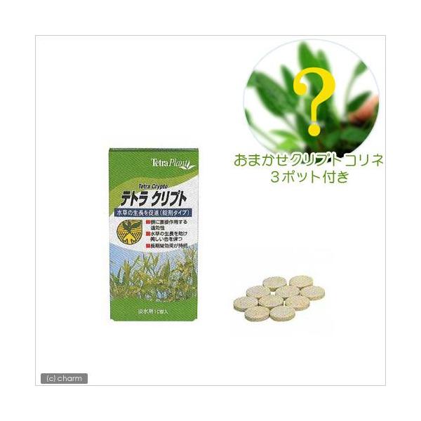 アクアリウム用品　水草用肥料　器具　肥料　水草用添加剤　固形タイプ　一押し水草添加剤　fkcin44　テトラジャパン　クリプト　陰性水草　低光量　toppatumizukusa　y22m01