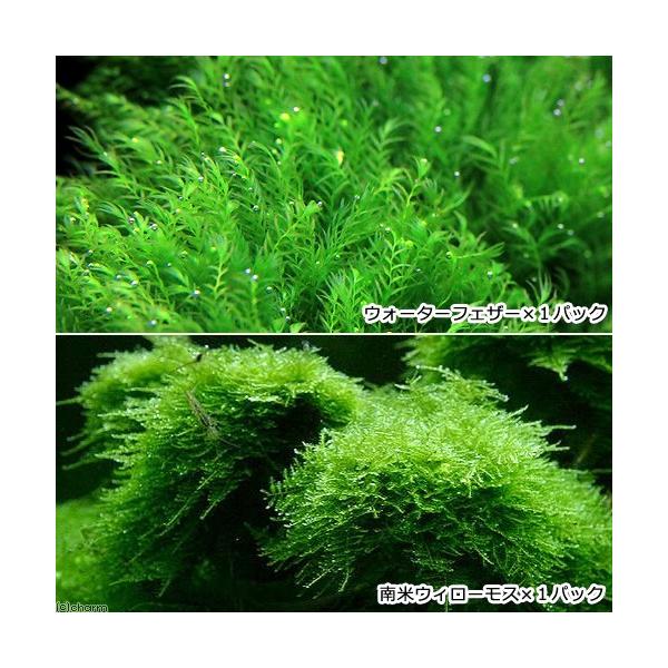 ijăEB[X{EH[^[tFU[@oitji_jiePpbNj