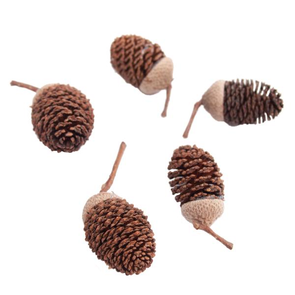 アクアリウム用品　naisyoku_syukei　hwlist　熱帯魚・エビ他　松ぼっくり　_aqua　アクア用品　調整剤　バクテリア　ｐＨ／硬度調整　リッツイ　ヤシャブシ　やしゃぶしの実　器具　アピストグラマ　ラミレジィ　ビーシュリンプ　...