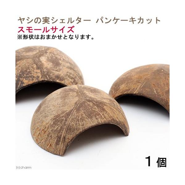 形状お任せ　ヤシの実シェルター　パンケーキカット　スモールサイズ　１個　ココナッツシェルター