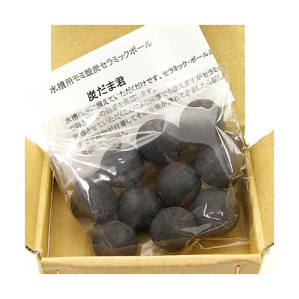 セラ 水槽 水槽用フィルターの人気商品 通販 価格比較 価格 Com