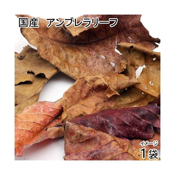 YAu[t@P܁@QOiT`Vj@}WbN[tiAsXg@x^@r[Vvj