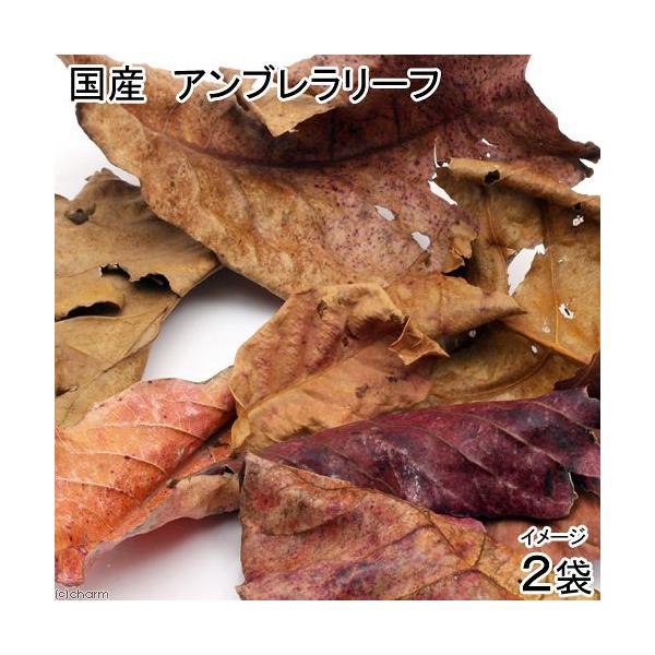 YAu[t@Q܁iPO`PSj@}WbN[tiAsXg@x^@r[Vvj