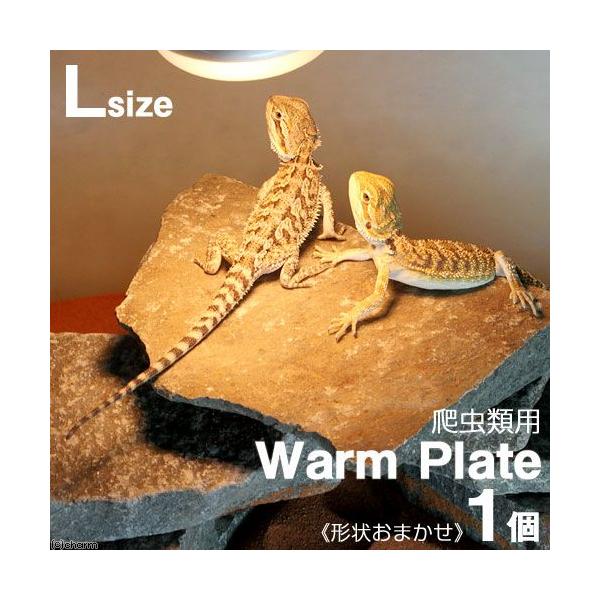 `󂨔C@঒ޗpoXLOX|bg@`EH[Ev[g`@kTCYiQO`ROj@P@঒ށ@CAEgf