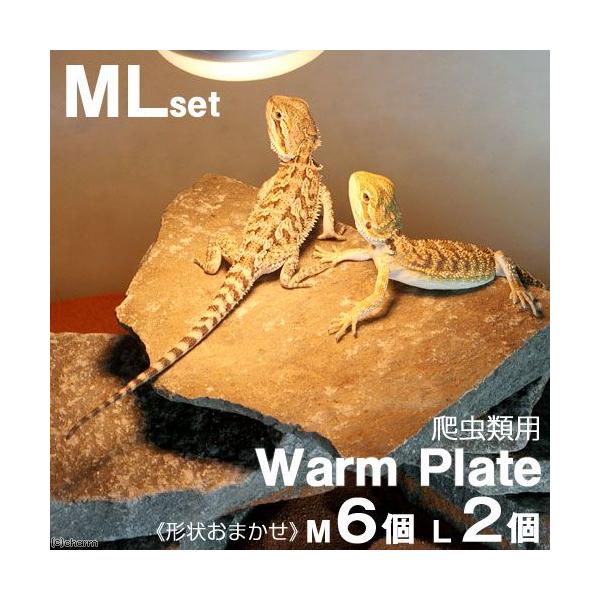 `󂨔C@঒ޗpoXLOX|bg@`EH[Ev[g`@lUAkQZbg@঒ށ@CAEgf