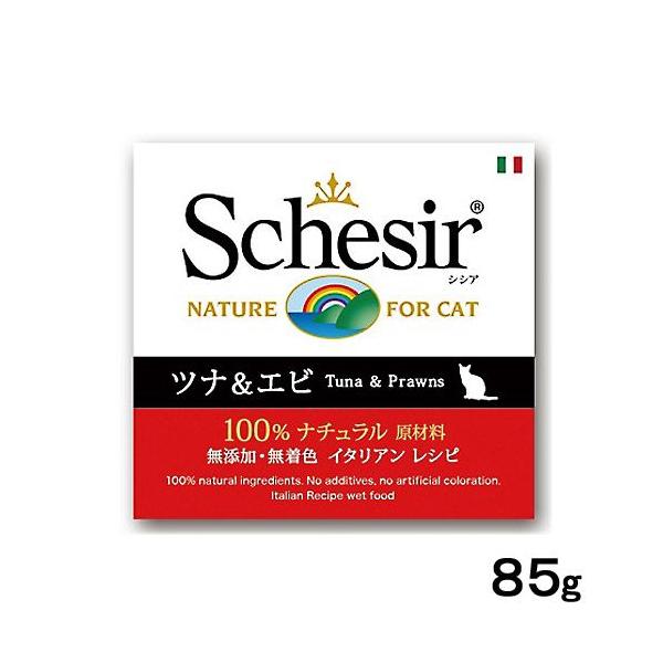 VVA@Lbg@ciGr@WT@ʋl@Lbgt[h