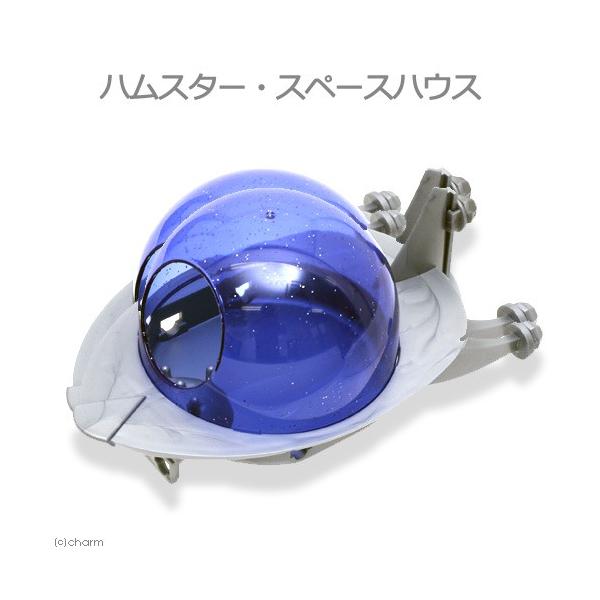 AEgbgi@݂悵fՁ@nX^[EXy[XnEX@nX^[@K@@nEX@󂠂