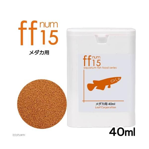 _Jpt[h@^Cvu@PTv@SOk@@@@@߂@GT@a@_J̉a