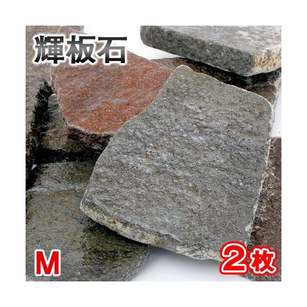 形状お任せ　輝板石　Ｍサイズ（約１０〜２０ｃｍ）　２枚　国産品　アクアリウム　テラリウム　レイアウト素材