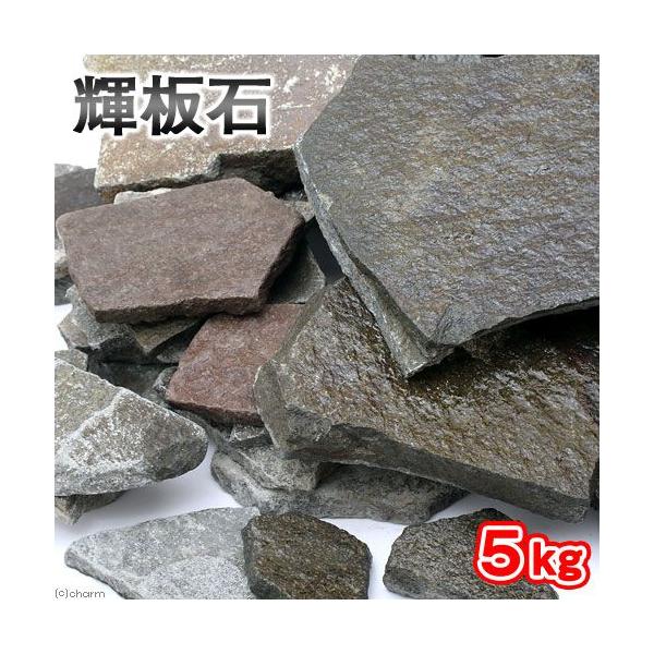 `󂨔C@P΁@TCY~bNX@T@Yi@ST@ANAE@CAEgf