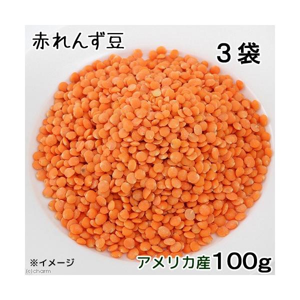 ԃY@POOR܁@঒ނ̂@঒ށ@gJQ@J@AK}@tgAS