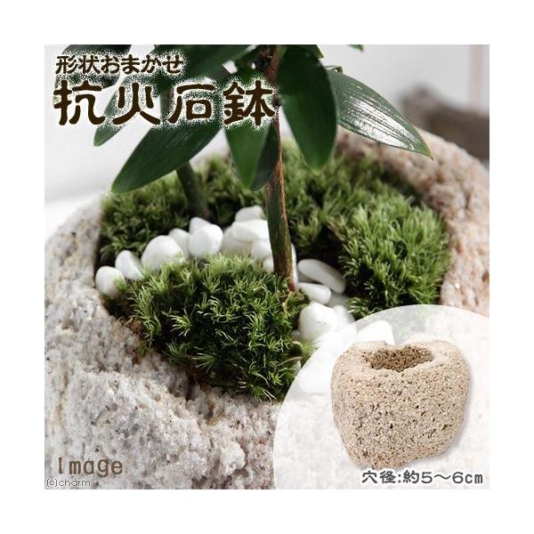 @`󂨔C@RΐΔ@@aT`UiPj@~j~j~͔