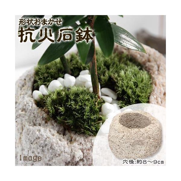 @`󂨔C@RΐΔ@@aW`XiPj@~j~j~͔