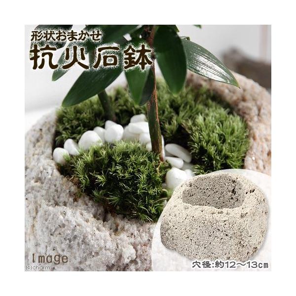 @`󂨔C@RΐΔ@@aPP`PQiPj@~j~j~͔