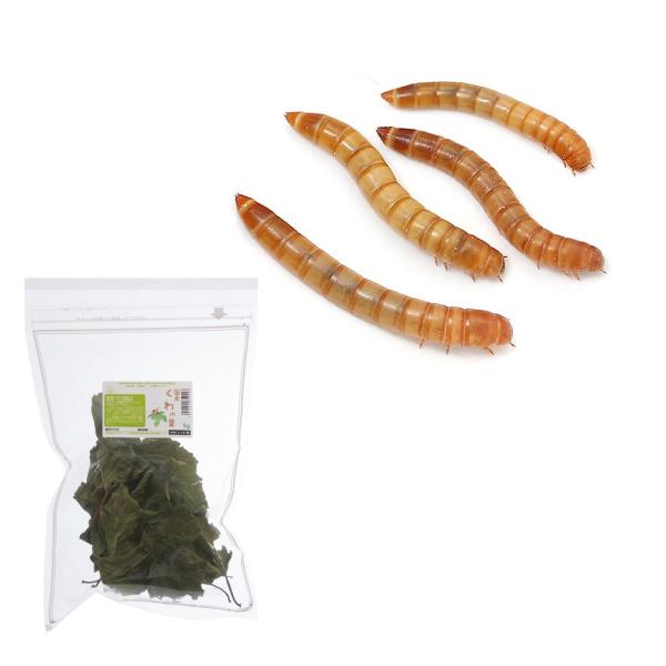 coolcomponent　_kame　生き餌　えさ　アロワナ　MS34　minianimal　_aqua　_animal　大型魚エサ　爬虫類エサ　器具　餌　給餌器　生餌　ブライン　ハムスター　リス　モモンガ　爬虫類生餌　▼ミルワーム　mi...