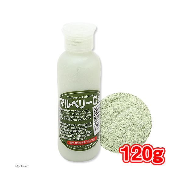 他サイト： マルベリーＣａ（カルシウム）　１２０ｇ　両生・爬虫類専用　飼料添加剤　爬虫類　鳥　インコ　サプリメント　添加剤の商品画像