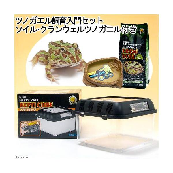 iށjNEFcmKGZbg@\CDi̕tj@JG@{Bl