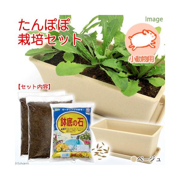 鉢底石の人気商品 通販 価格比較 価格 Com