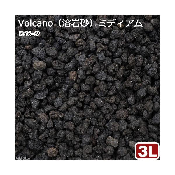 ｎｏ １１６ ｖｏｌｃａｎｏ 溶岩砂 ミディアム ３リットル ３０ｃｍ水槽用 お一人様６点限り Buyee Buyee Japanese Proxy Service Buy From Japan Bot Online